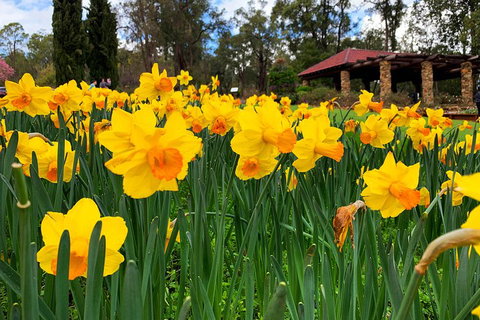 Spring Wildflower (Private) Day Tours - Attractions 1