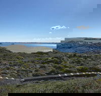 Penguin Island And Fremantle - Canoe Chocolate  Coffee - Attractions