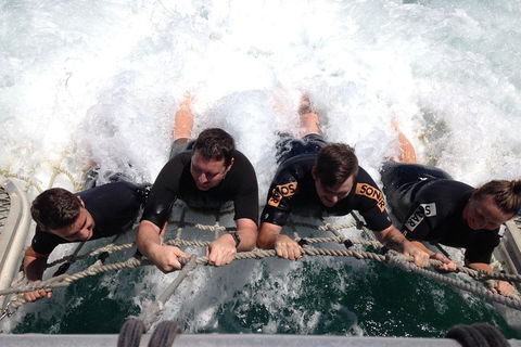 Cruise In Moreton Bay Marine Park And Moreton Island - Attractions 0