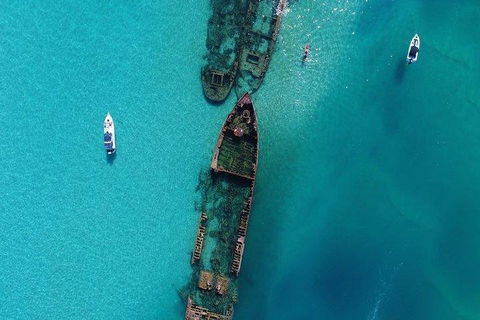 Cruise In Moreton Bay Marine Park And Moreton Island - Attractions 1