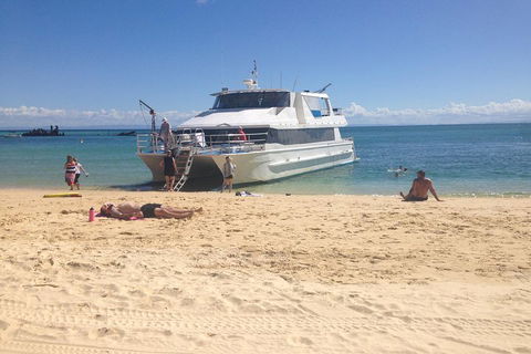 Cruise In Moreton Bay Marine Park And Moreton Island - Attractions 4