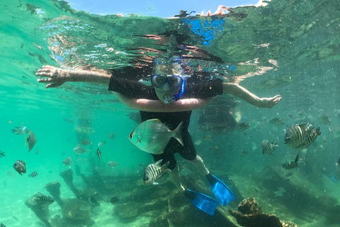 Cruise In Moreton Bay Marine Park And Moreton Island - Attractions 5