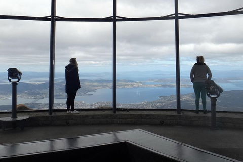 Kunanyi / Mt Wellington Explorer Bus - 2 Hour Return Tour - Attractions 1