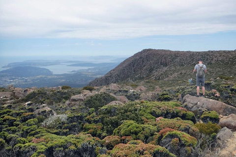 Kunanyi / Mt Wellington Explorer Bus - 2 Hour Return Tour - Attractions 3