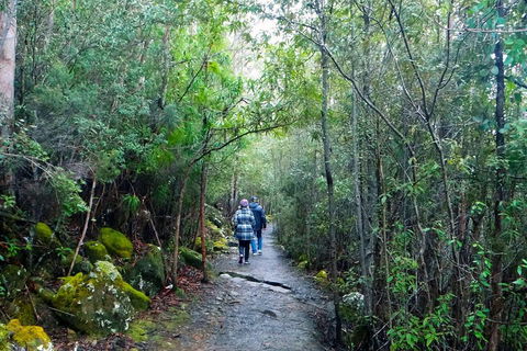 Kunanyi/Mt Wellington Tour & Hobart Hop-On Hop-Off Bus - Attractions 1