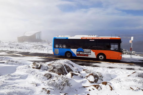 Kunanyi/Mt Wellington Tour & Hobart Hop-On Hop-Off Bus - Attractions 2