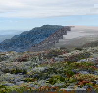 kunanyi/Mt Wellington Explorer Bus - One Way Tour - Attractions