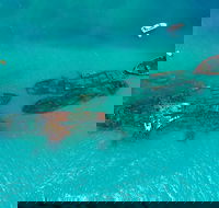 Private Tangalooma Wrecks Tour - Attractions