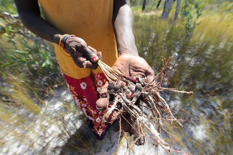 Gay-Wu Woman's 5 Day Yolngu Homeland Tour - Attractions 0