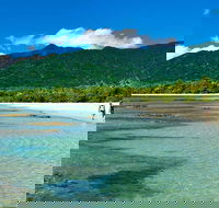 5-Day Best of Cairns with Daintree Kuranda and Great Barrier Reef - Attractions