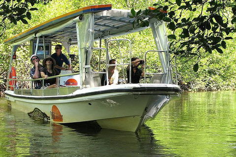 5-Day Best Of Cairns With Daintree, Kuranda, And Great Barrier Reef - Attractions 1