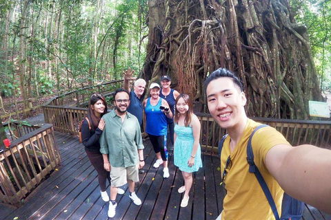 Cairns 4WD Waterfall And Rainforest Tour Including Kuranda Scenic Railway - Attractions 0