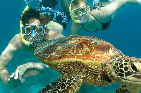 8-Day Cairns Tour: Great Barrier Reef, Kuranda, Daintree Rainforest - Attractions 1