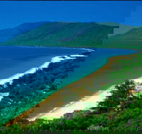 Cairns Reef and Rainforest Combo Daintree Rainforest and the Great Barrier Reef - Attractions