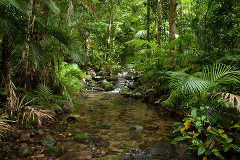 Cairns Reef And Rainforest Combo: Daintree Rainforest And The Great Barrier Reef - Attractions 1