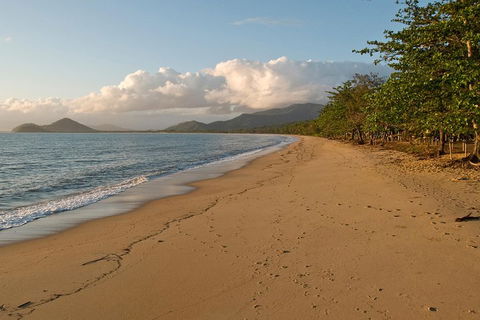 Cairns Reef And Rainforest Combo: Daintree Rainforest And The Great Barrier Reef - Attractions 4