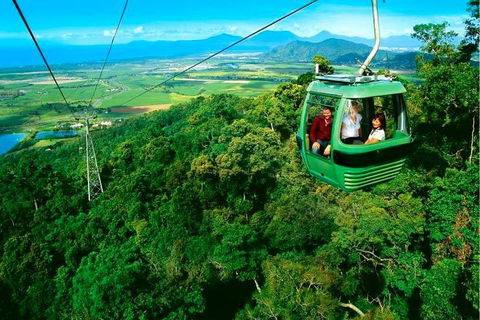4-Day Cairns Ultimate Combo: Daintree Rainforest, Reef, Kuranda & Paronella Park - Attractions 1