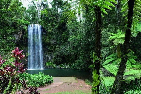 Paronella Park And Millaa Millaa Falls Full-day Tour From Cairns - Attractions 3