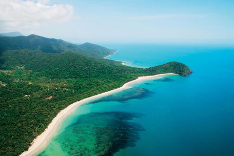 Cape Tribulation, Mossman Gorge, And Daintree Rainforest Premium Day Tour - Attractions 2