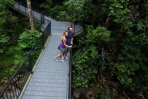 Cape Tribulation, Mossman Gorge, And Daintree Rainforest Premium Day Tour - Attractions 3