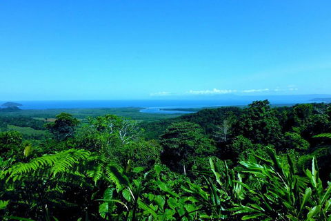 Cape Tribulation, Mossman Gorge, And Daintree Rainforest Premium Day Tour - Attractions 5