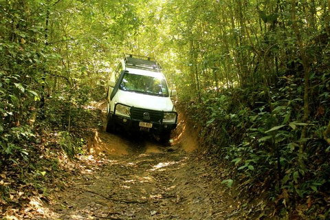 Barron Gorge And Kuranda National Park Half Day Rainforest And Waterfall 4WD Tour From Cairns - Attractions 2