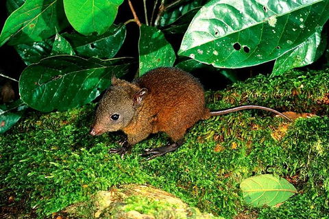 3-Day Small-Group Tour Of North Queensland With Pick Up - Attractions 0