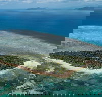 4-Day Cairns with Great Barrier Reef and Daintree Rainforest - Attractions