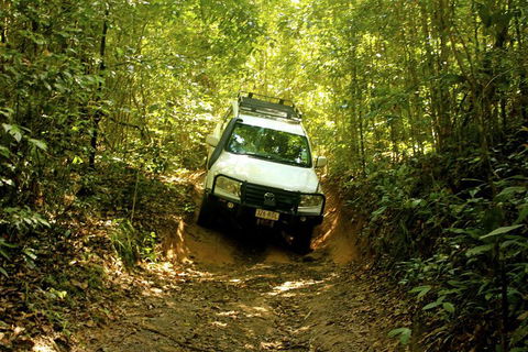 Cairns National Park Rainforest And Waterfall Small Group Tour Shore Excursion - Attractions 0