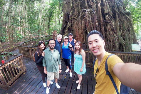 Cairns National Park Rainforest And Waterfall Small Group Tour Shore Excursion - Attractions 2