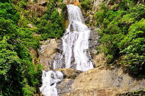 Cairns National Park Rainforest And Waterfall Small Group Tour Shore Excursion - Attractions 4