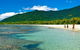 Private Daintree National Park Day Tour From Cairns Including Cape Tribulation And Mossman Gorge - thumb 0