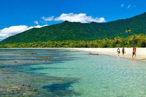 Private Daintree National Park Day Tour From Cairns Including Cape Tribulation And Mossman Gorge - Attractions 0