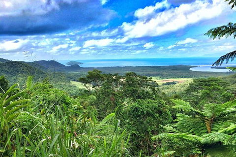 Private Daintree National Park Day Tour From Cairns Including Cape Tribulation And Mossman Gorge - Attractions 2
