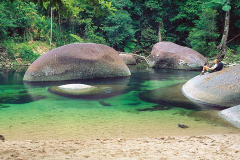 Private Daintree National Park Day Tour From Cairns Including Cape Tribulation And Mossman Gorge - Attractions 4