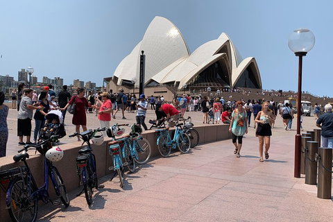 The Big Easy - Attractions 4