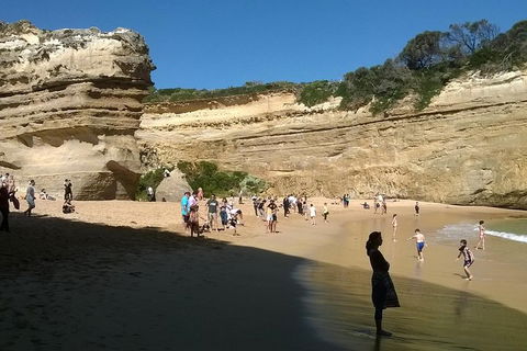 Great Ocean Road Full Day Private Experience - Attractions Las Vegas 3