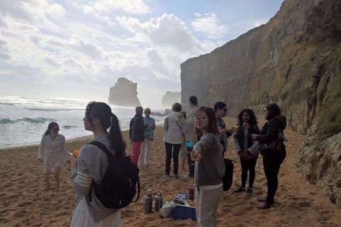 Great Ocean Road Full Day Private Experience - Attractions Las Vegas 4