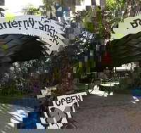 Kuranda Day Trip from Port Douglas upgrade to Skyrail  Scenic train available - Attractions