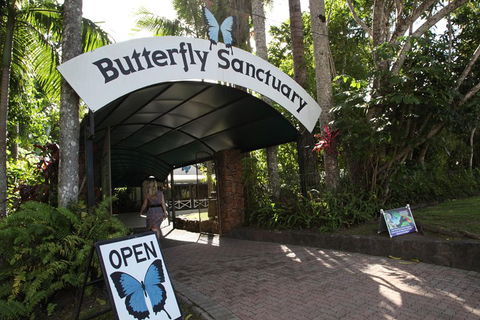 Kuranda Day Trip From Port Douglas Upgrade To Skyrail & Scenic Train Available - Attractions 0