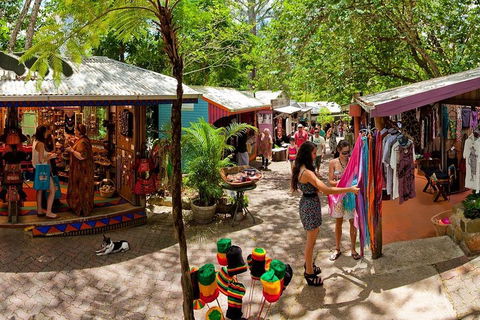Kuranda Day Trip From Port Douglas Upgrade To Skyrail & Scenic Train Available - Attractions 2