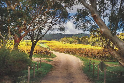McLaren Vale Winery Small Group Tour With Wine Tasting And Lunch - Attractions 1