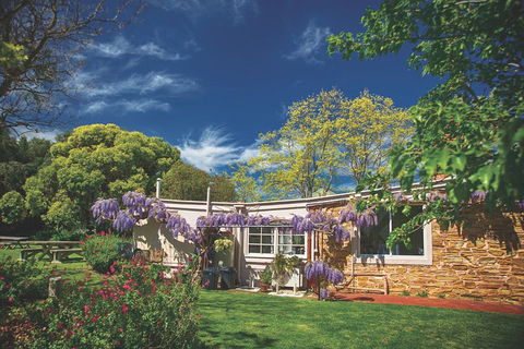 McLaren Vale Winery Small Group Tour With Wine Tasting And Lunch - Attractions 2