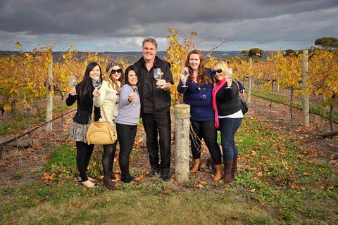 McLaren Vale Winery Small Group Tour With Wine Tasting And Lunch - Attractions 3