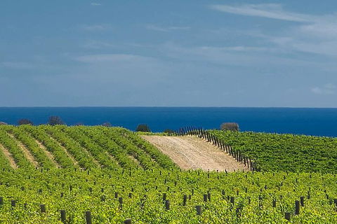 McLaren Vale Winery Small Group Tour With Wine Tasting And Lunch - Attractions 4