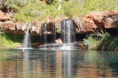 9 Day Perth To Broome Adventure - Attractions 2