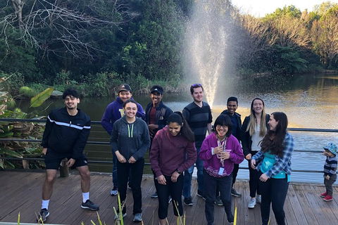 Natural Bridge, Skywalk And Mt Tamborine Adventure! - Attractions 4