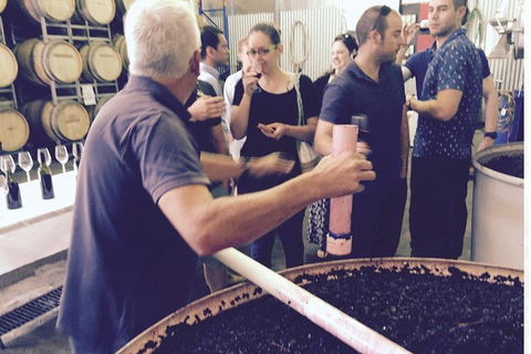 Luxury Private Mclaren Vale Wine Tour - Attractions 4