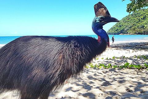 The Paronella Experience - Attractions 0