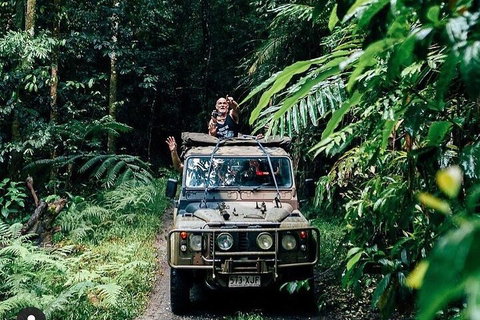 Full Day Tour In The Daintree - Attractions 4